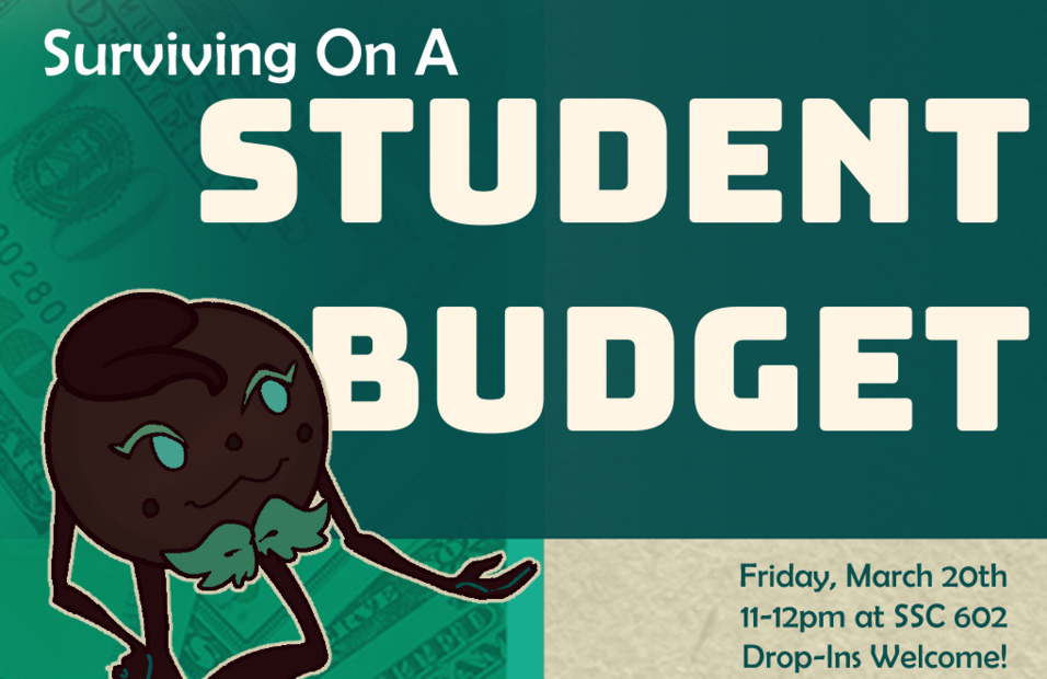 Surviving on a Student Budget 1