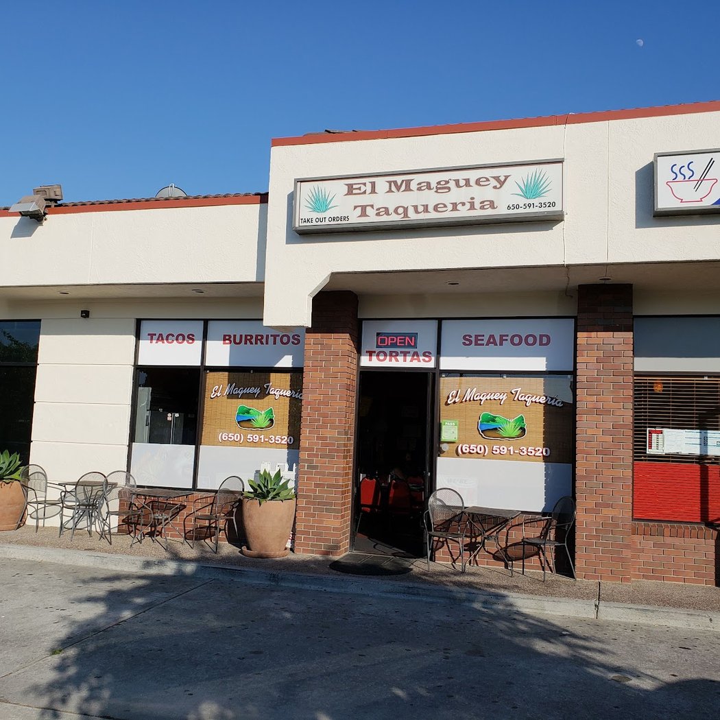 El Maguey 2