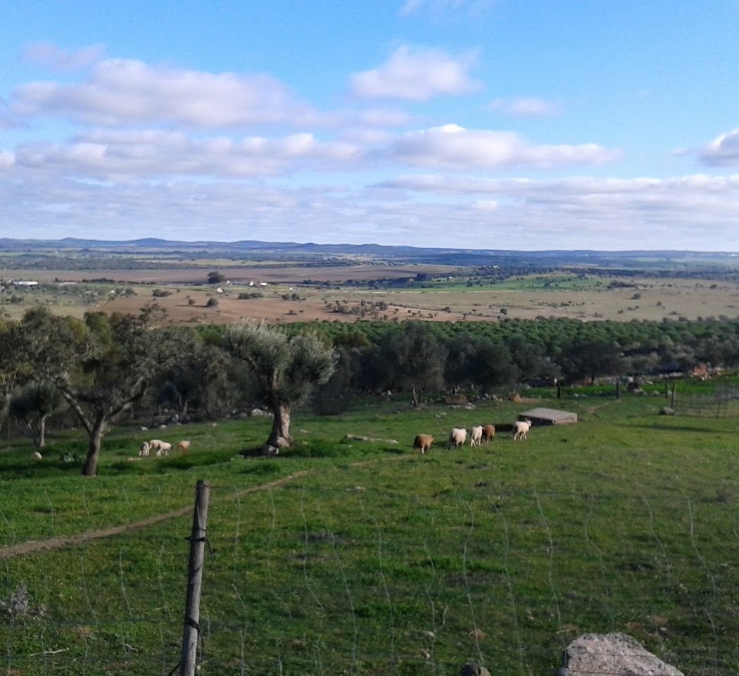 BADGER TRAIL (TRAIL DO TEXUGO) 2