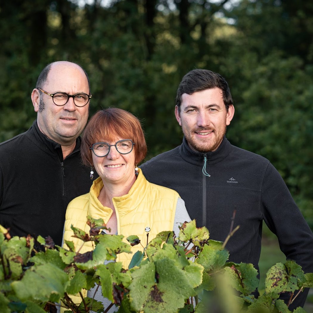 Muscadet - Domaine du Bourgeais 2
