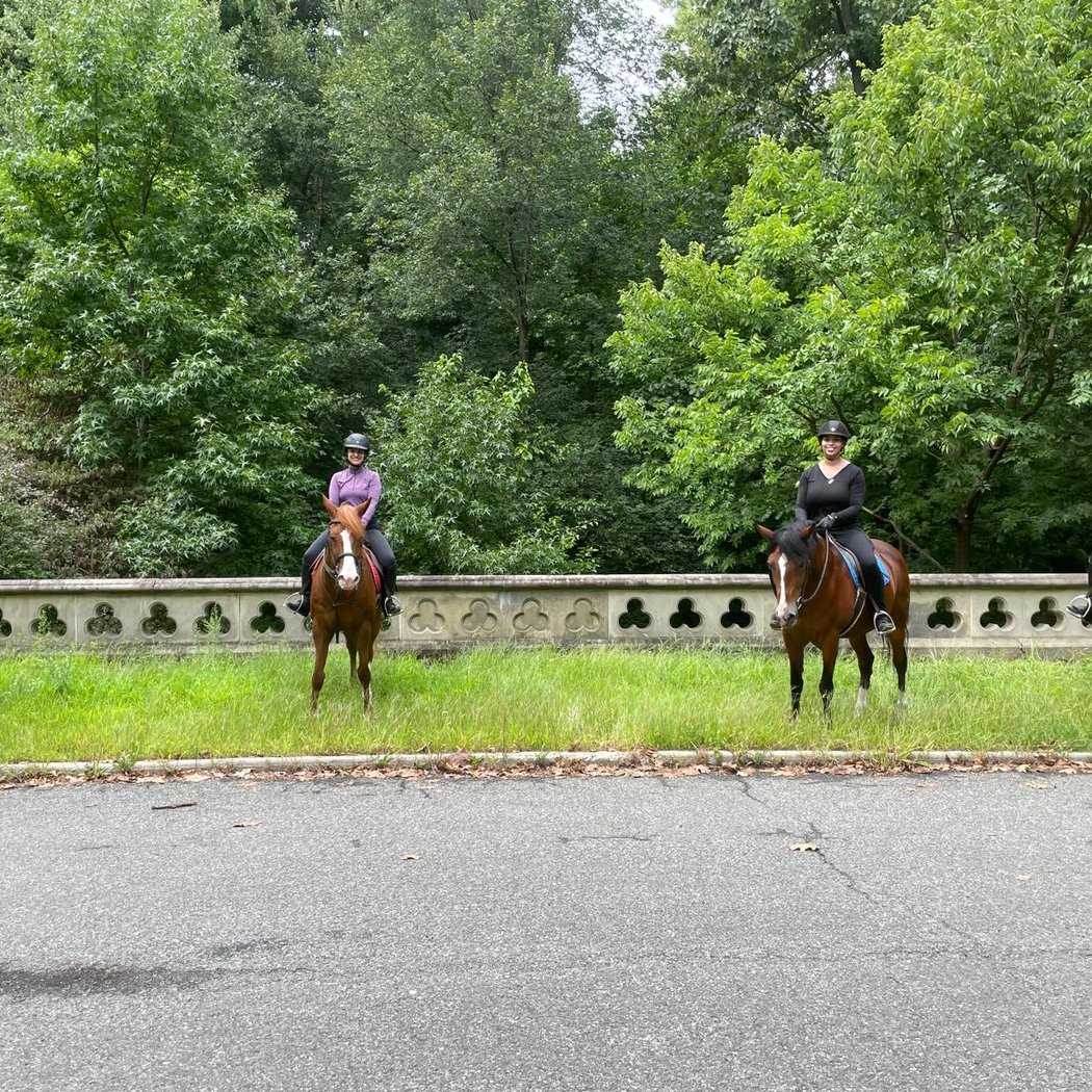 Be • Brooklyn Equine Horseback Riding 3