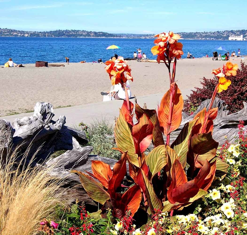 Alki Beach Park 3