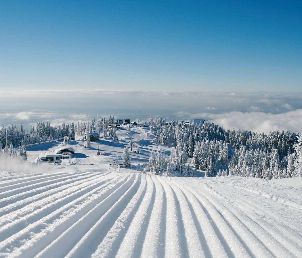 Grouse Mountain 1