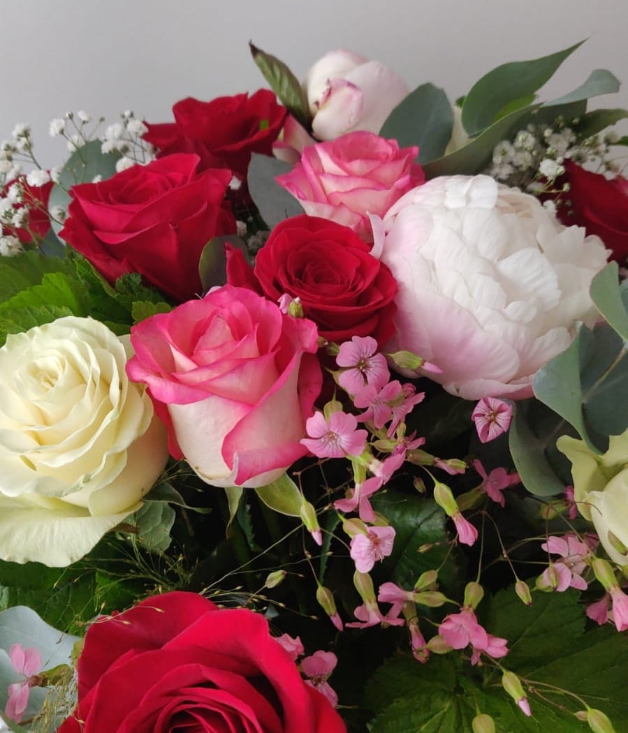 A fleur De Pot 1