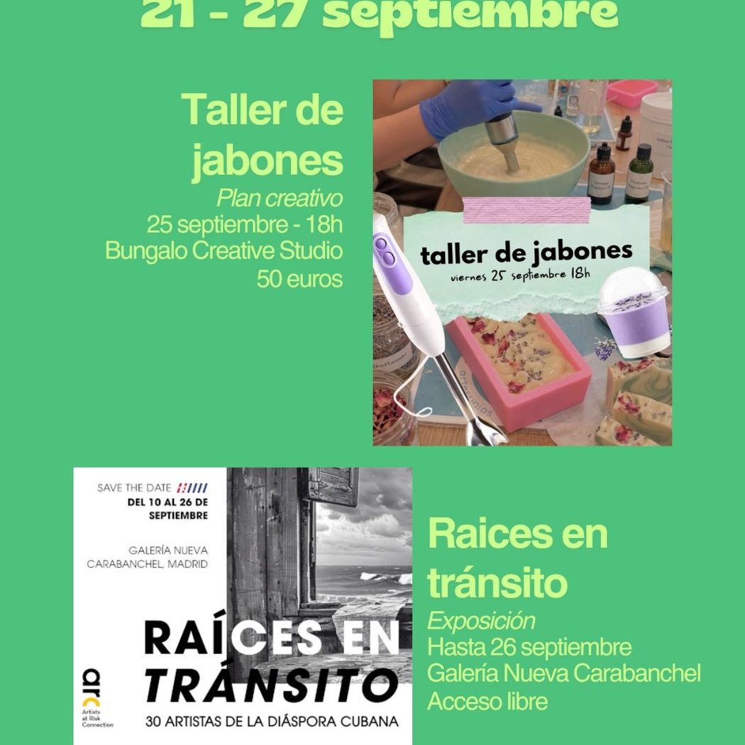 Raíces en tránsito 1