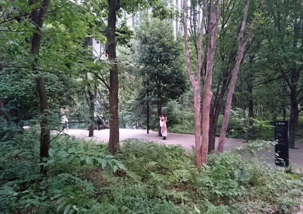 Jardins suspendus : Michel Desvigne Paysagiste 2