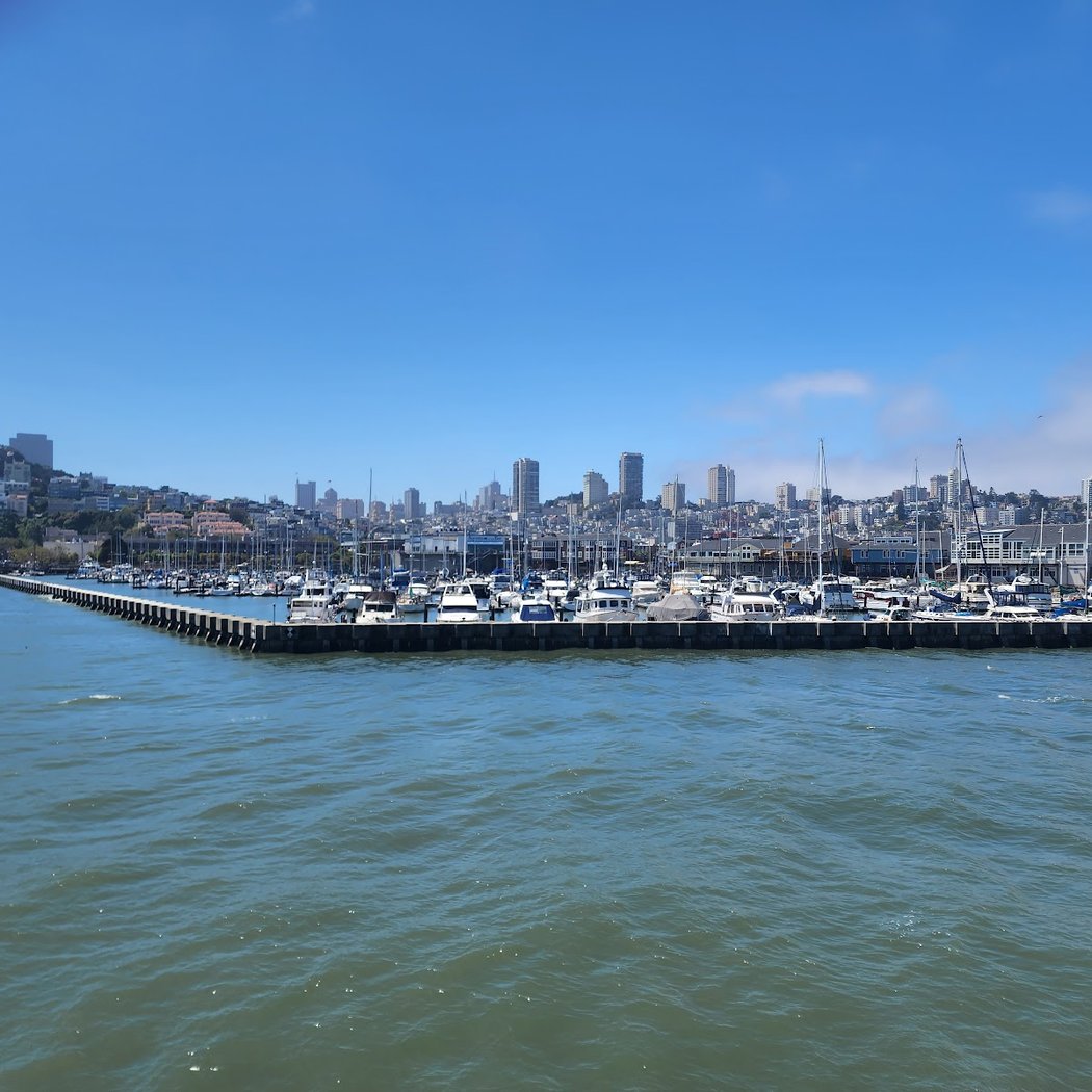 Muir Woods and Sausalito Day Tour & Bay Cruise 2