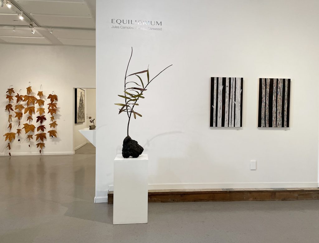 EQUILIBRIUM – Jules Campbell and Linda Ellinwood 1