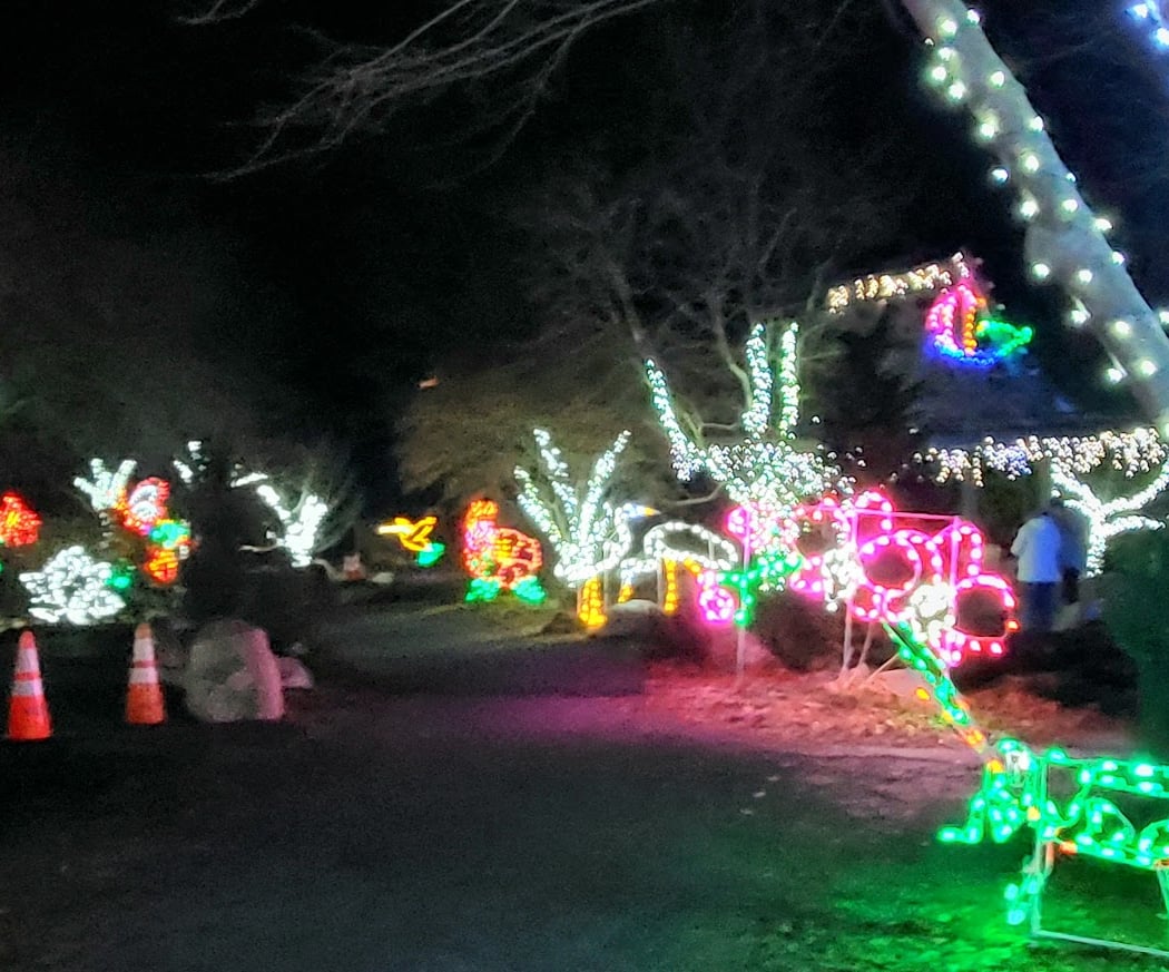 Holiday Light Display 2