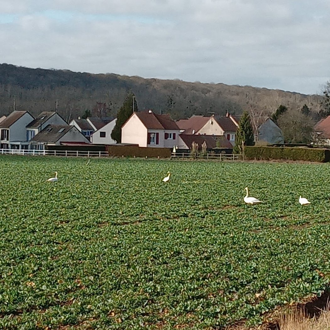 Milly-sur-Thérain 2