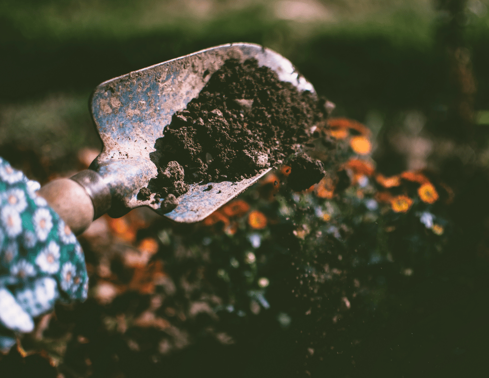 Composting Series: Compost in Agriculture and Gardening 1