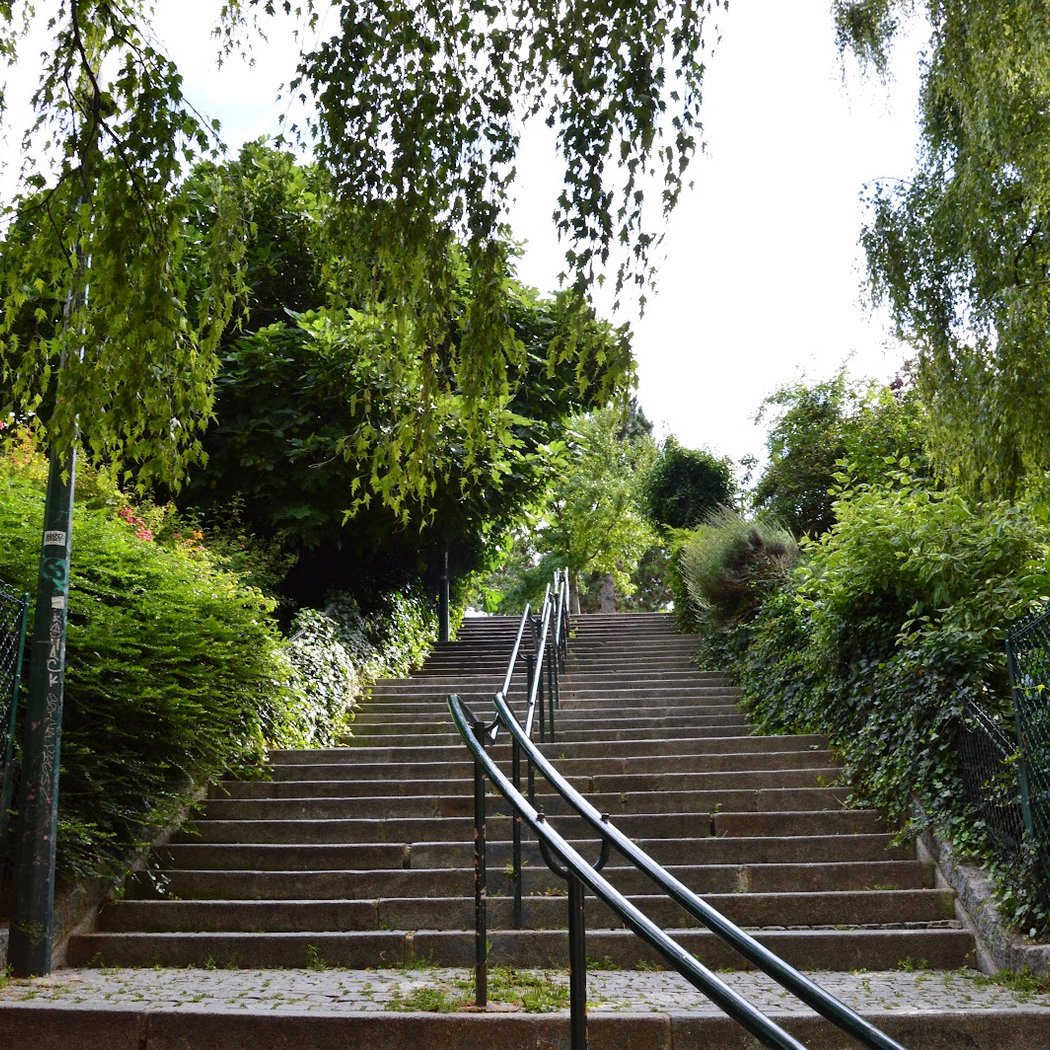 Brassaï Garden 4