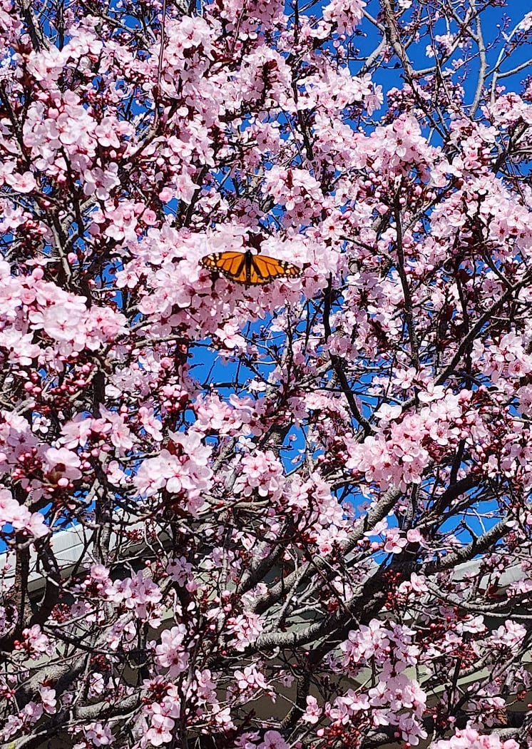 Prince Street Park 3