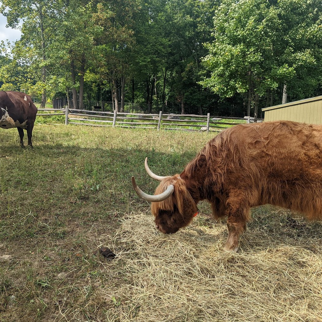 Heckscher Farm & Nature's Playground Toddler Outing 3