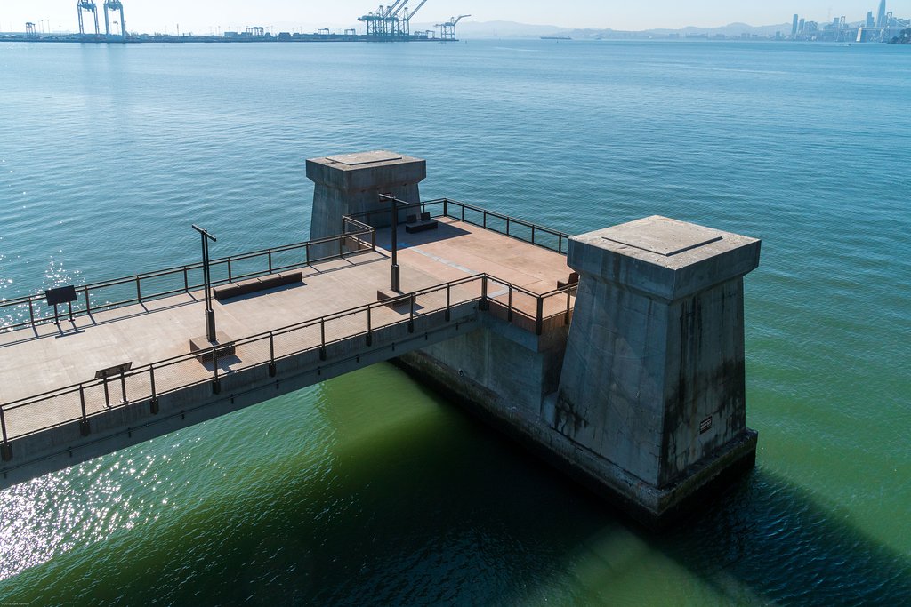 Bay Bridge Trail 3