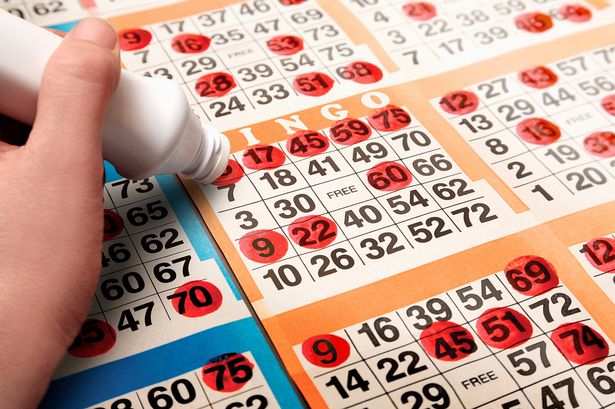 Wednesday Afternoon Bingo 1