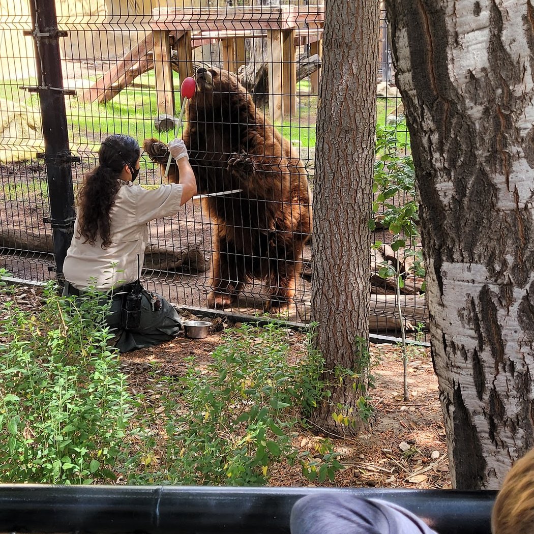 Orange County Zoo 3
