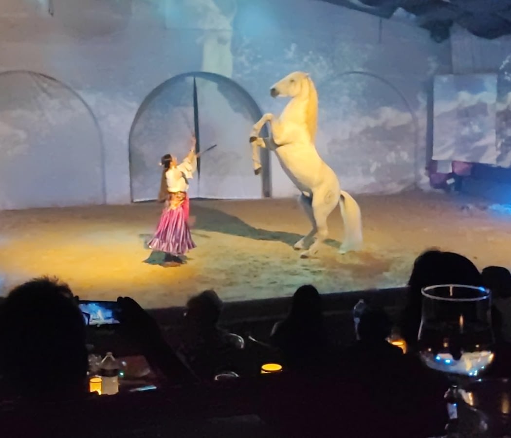 Cabaret Equestre de Camargue 1