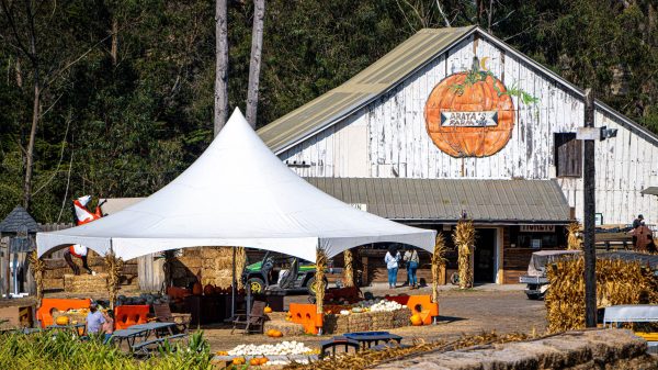 Arata’s Pumpkin Farm 2