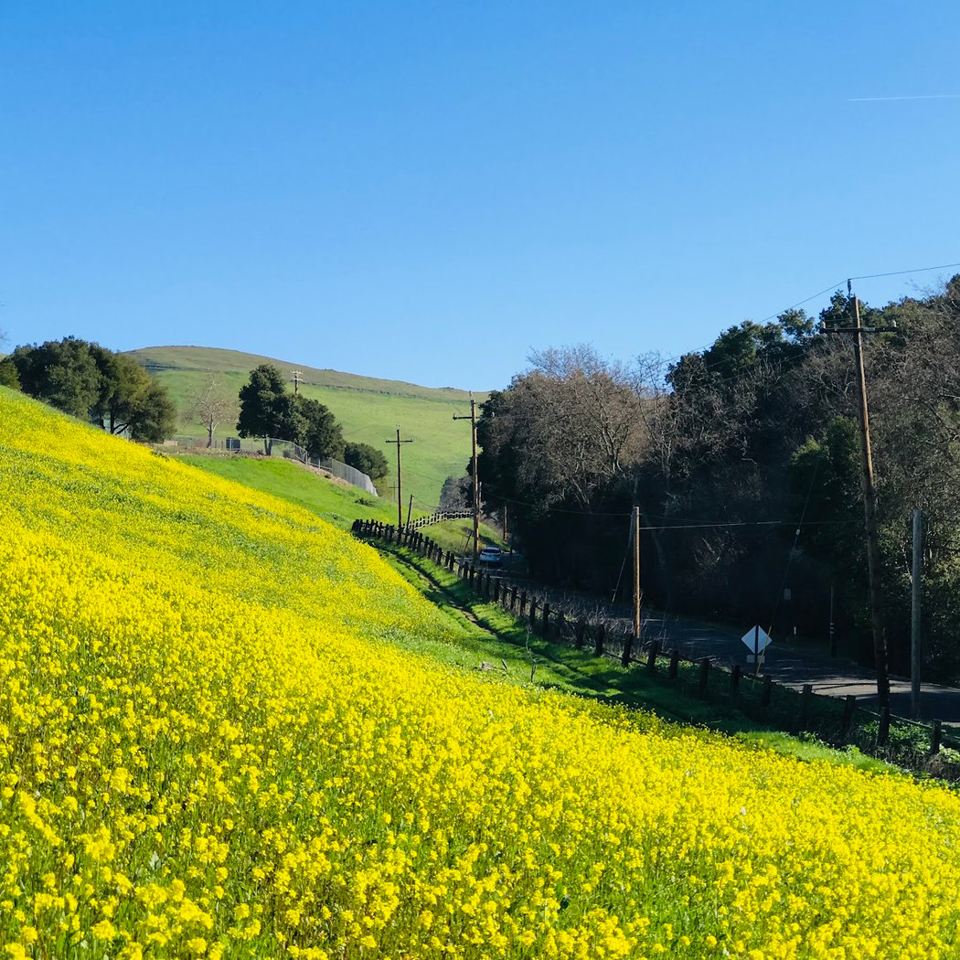Coyote Creek Trail, Milpitas 1