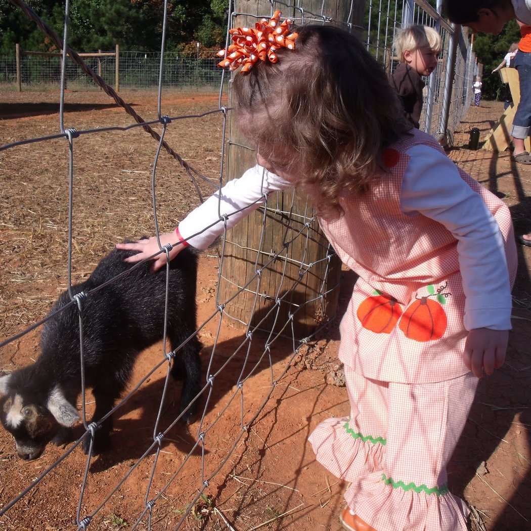 Choctafaula Pumpkin Patch 3