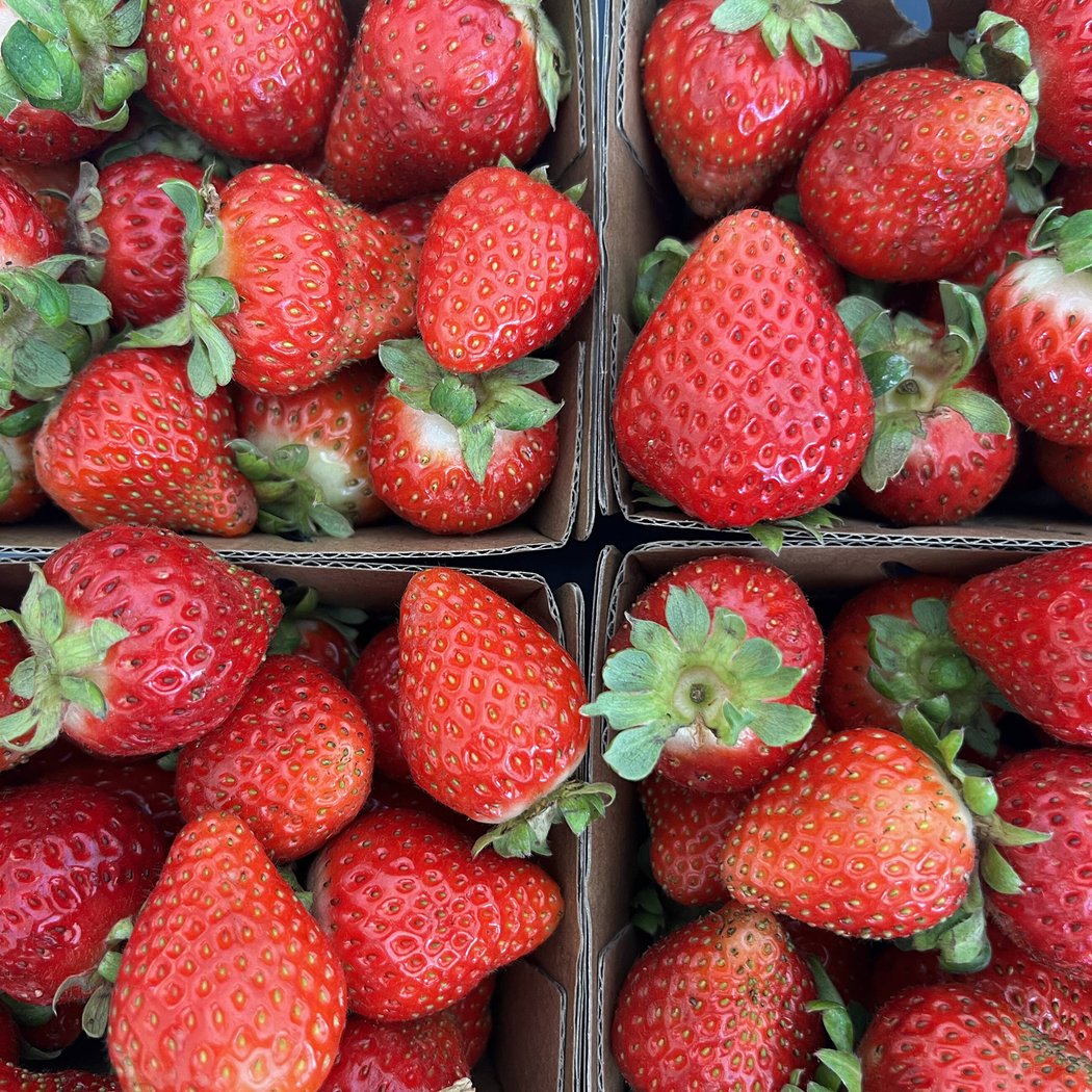 J&E Family Farm - Farm Stand 2