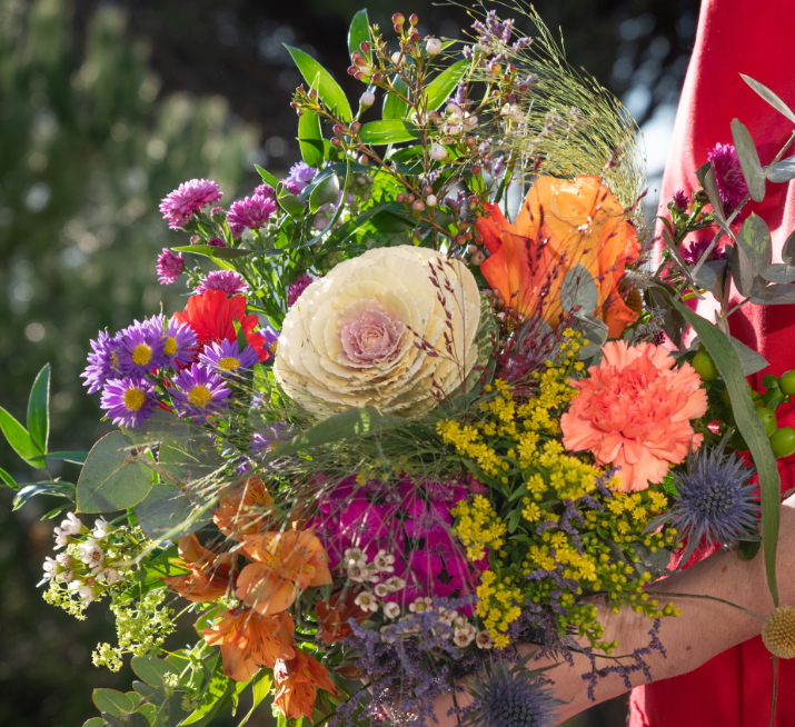Aux Fleurs De Marie-Terre De Provence 1