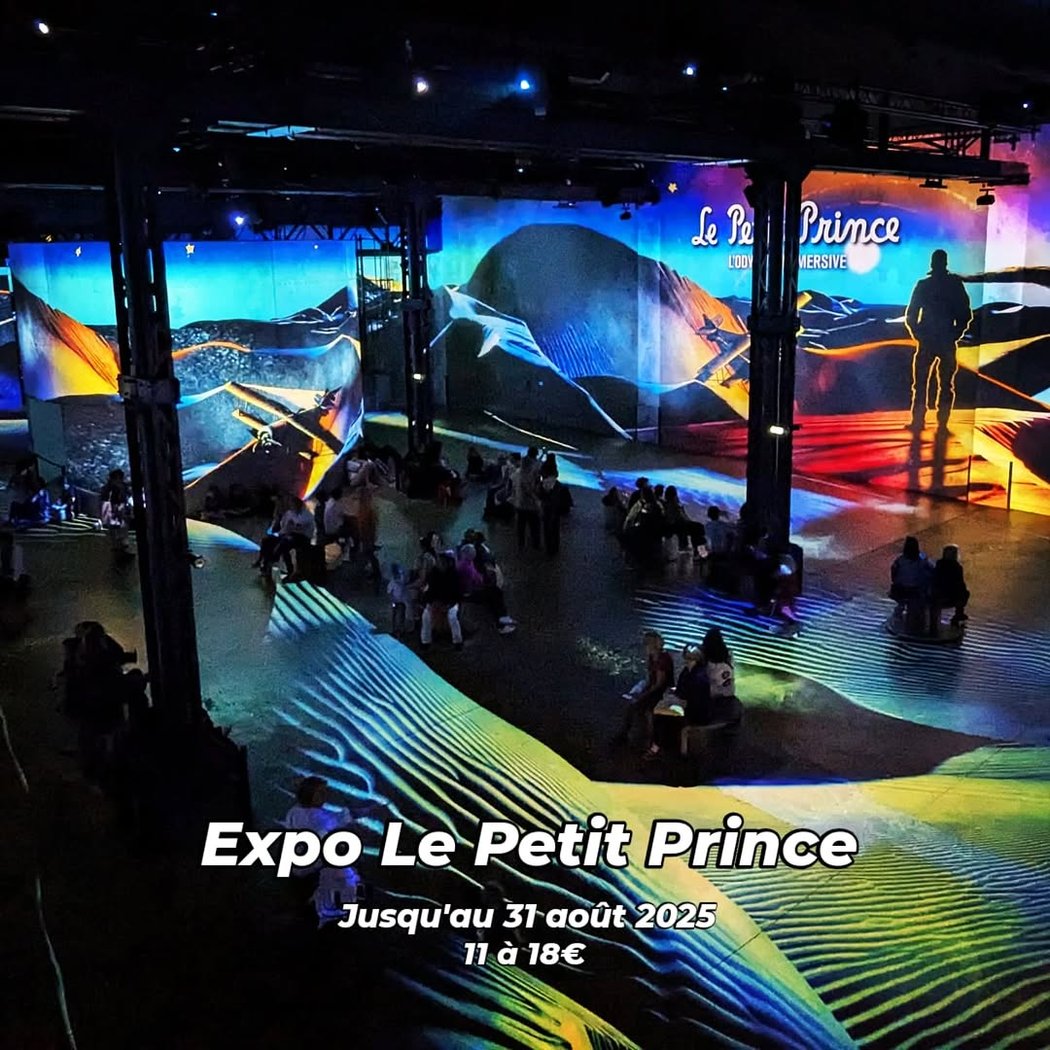 Le Petit Prince Immersive Exhibition 1
