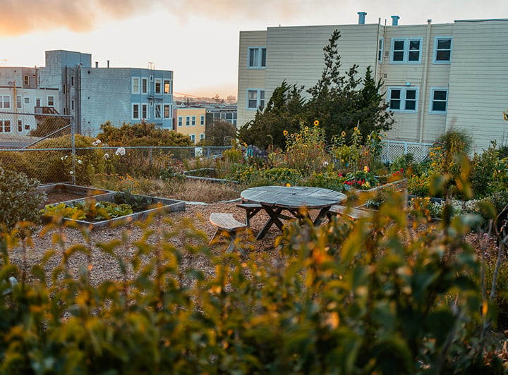 Argonne Playground 2