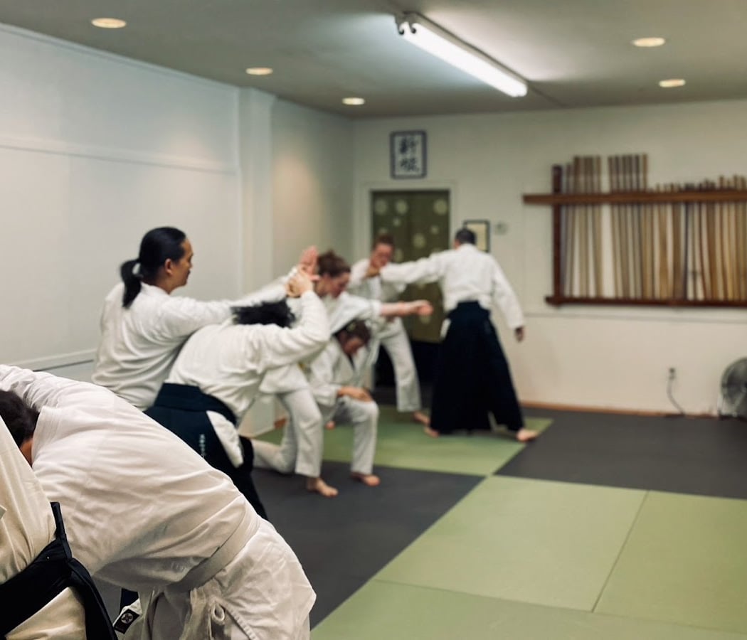 Aikido of South Brooklyn 2