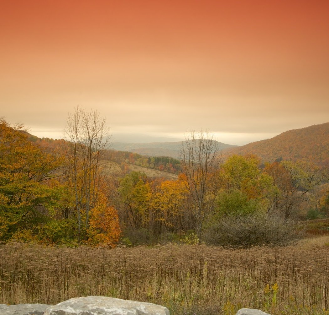 Catskill 3