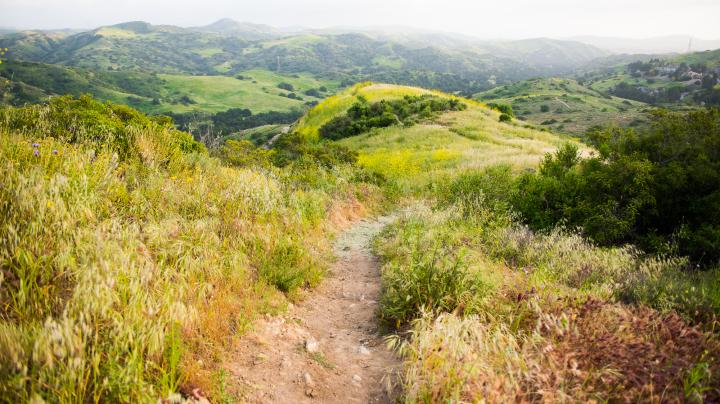 Summer Solstice Hike: Weir Canyon 2