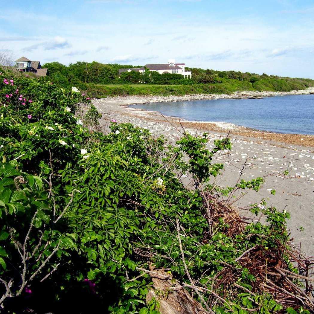 Hull Cove 2