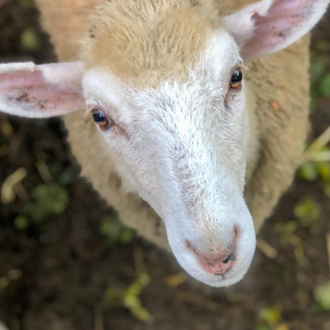 Weekend Farm Tour 1