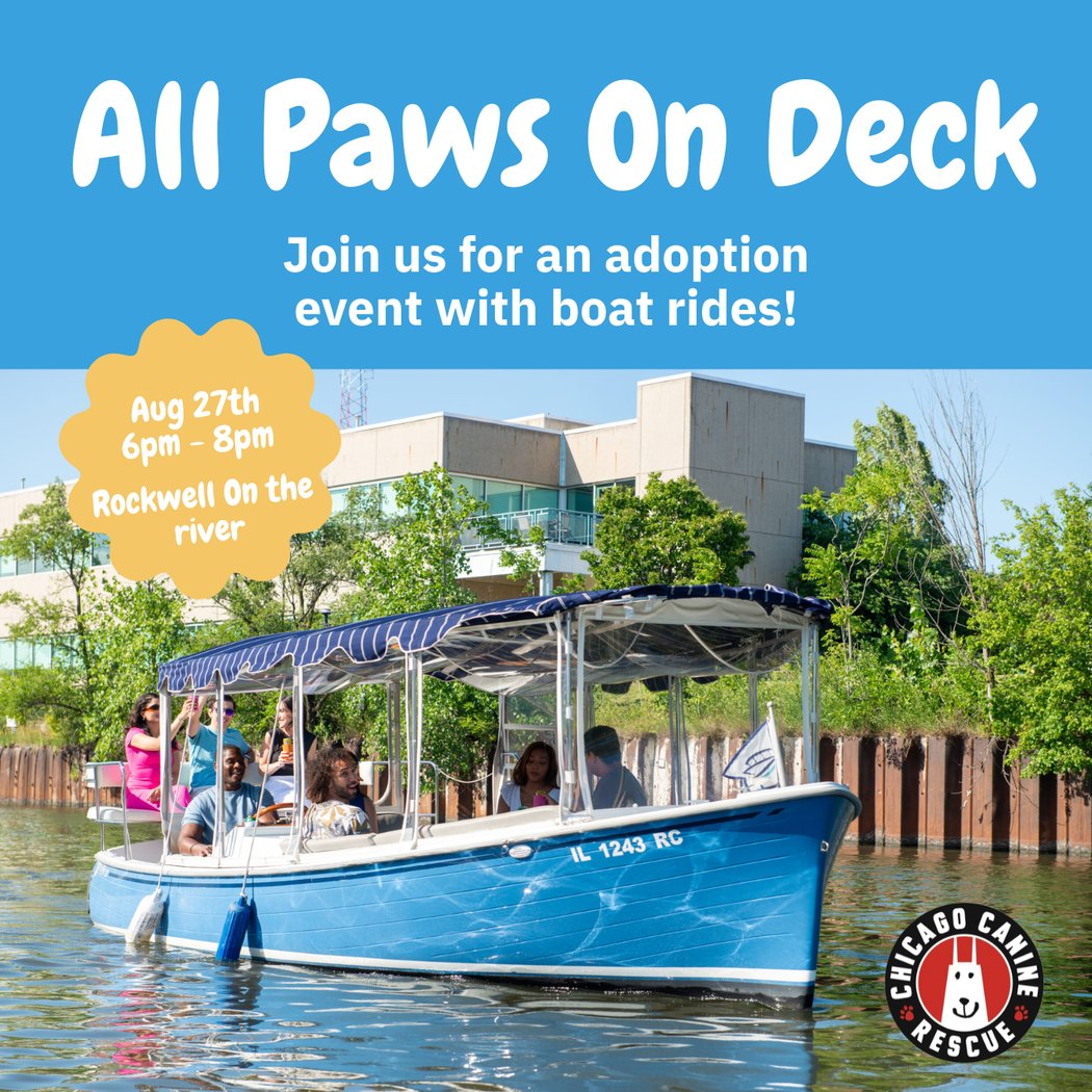 All Paws on Deck 1