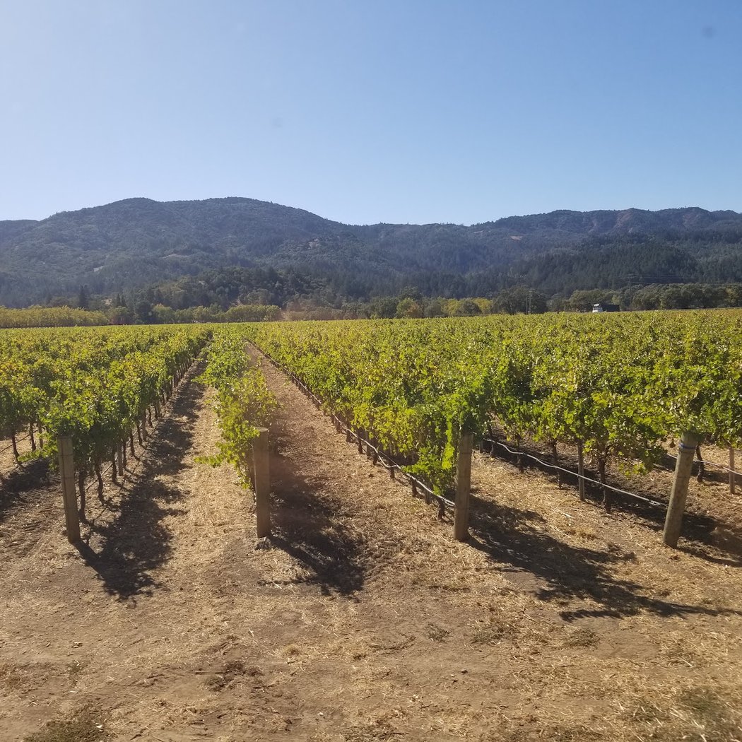 St. Helena Parks & Recreation 1