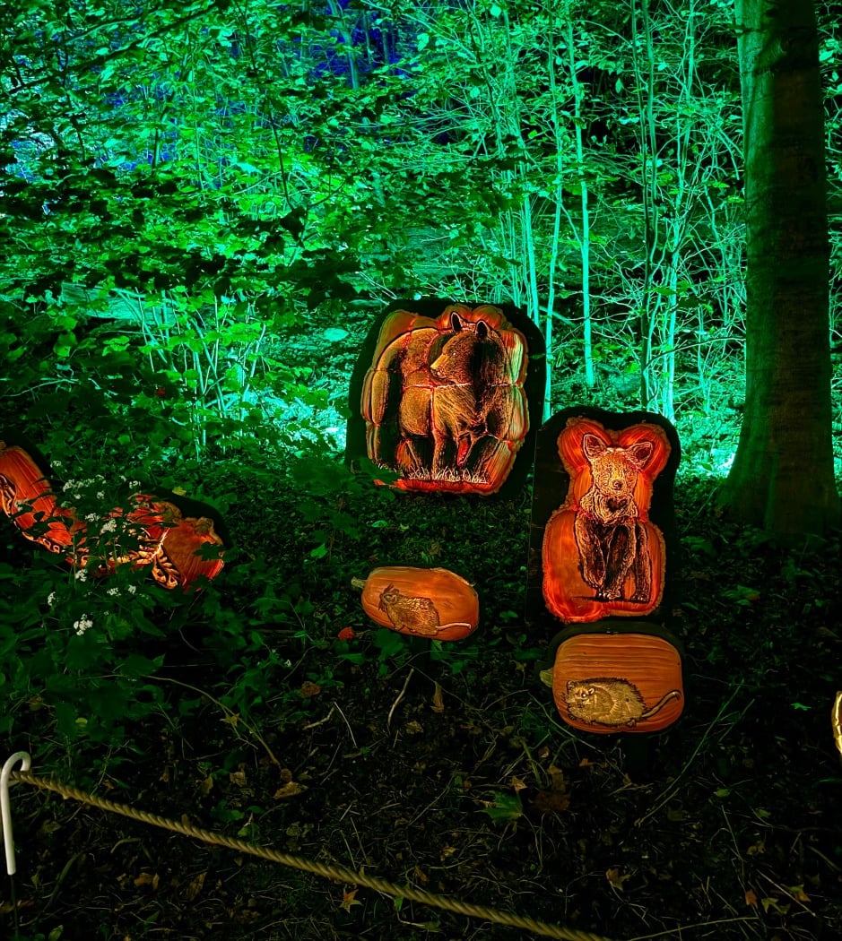 Harvest Glow 2