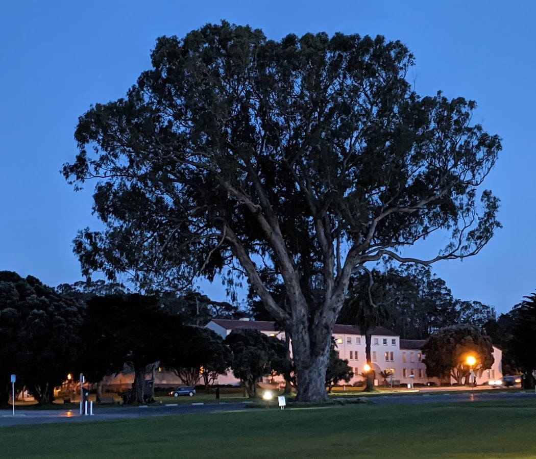 Free Outdoor Movie Screenings 1