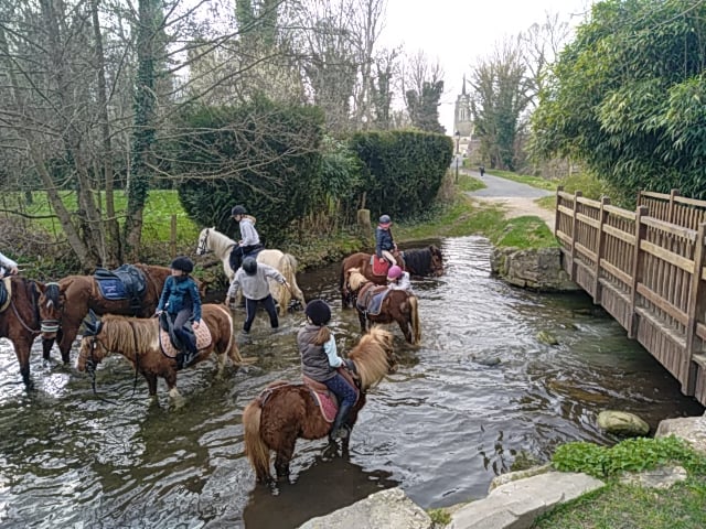 Les Poneys D'abord 1