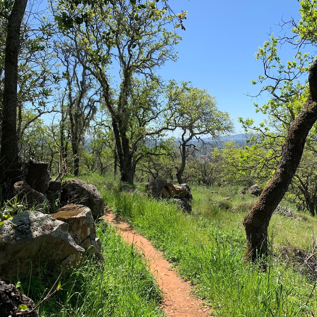 Montini Open Space Preserve trailhead 1