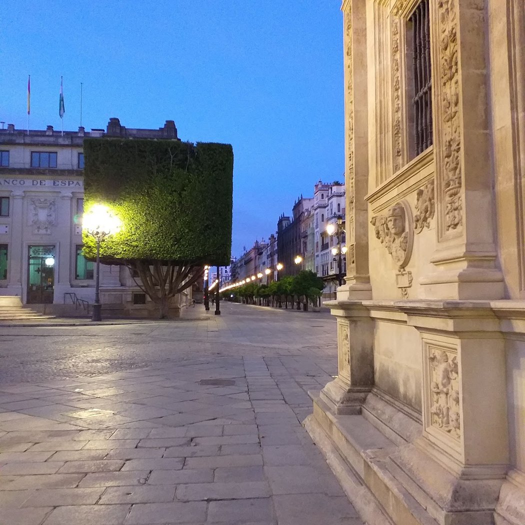 La Noche Vieja 3
