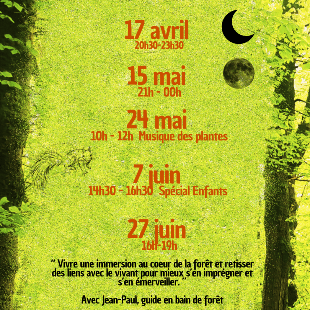 Bain de forêt nocturne par nuit noire 1