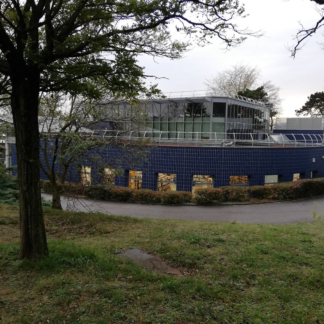Library De Feyzin 2