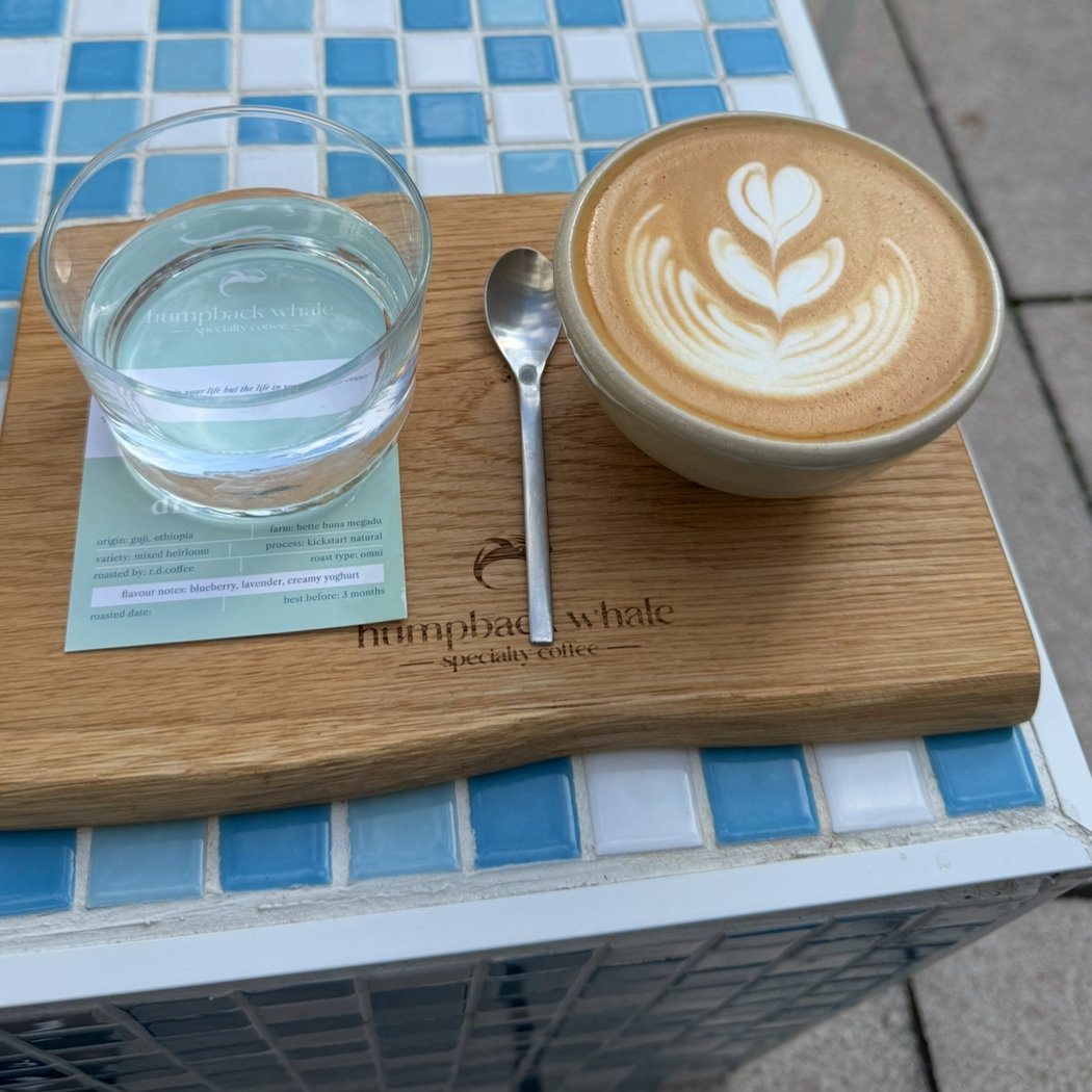 humpback whale specialty coffee 3