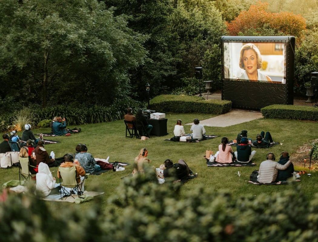 Movie in the Park