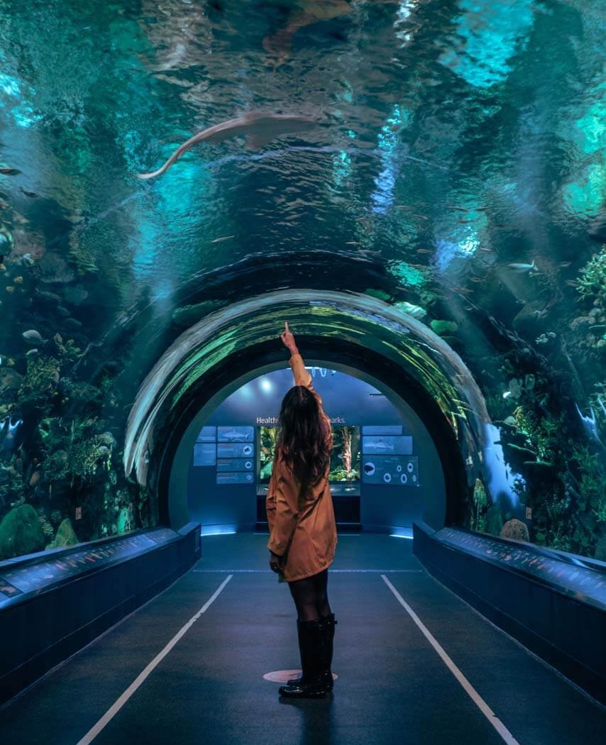 New York Aquarium + Coney Island Boardwalk 1