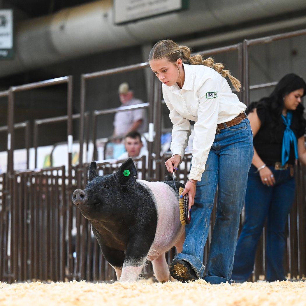 Utah County Fair and Rodeo 2