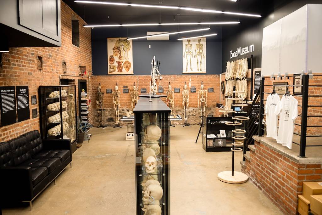 The Bone Museum 2