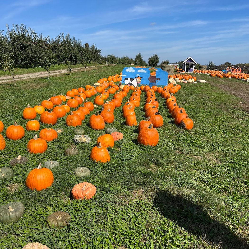 Apple Ridge Orchards 3