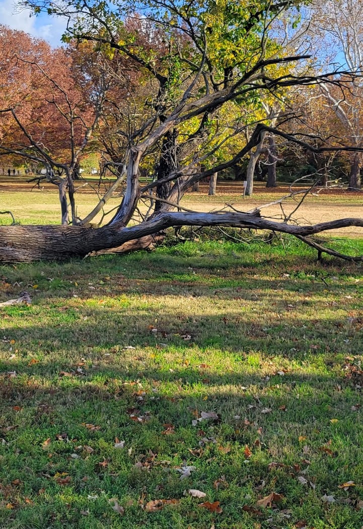 Mount Vernon Square 3